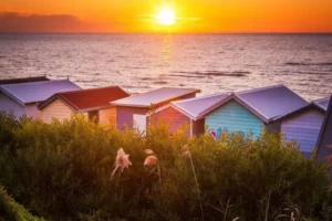 A Guide to the Best Beaches on Mornington Peninsula